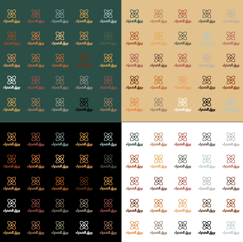 تصميم هوية بصرية كاملة لمتجر مجوهرات 18 تجريب الشعار والألوان بريق الصحراء