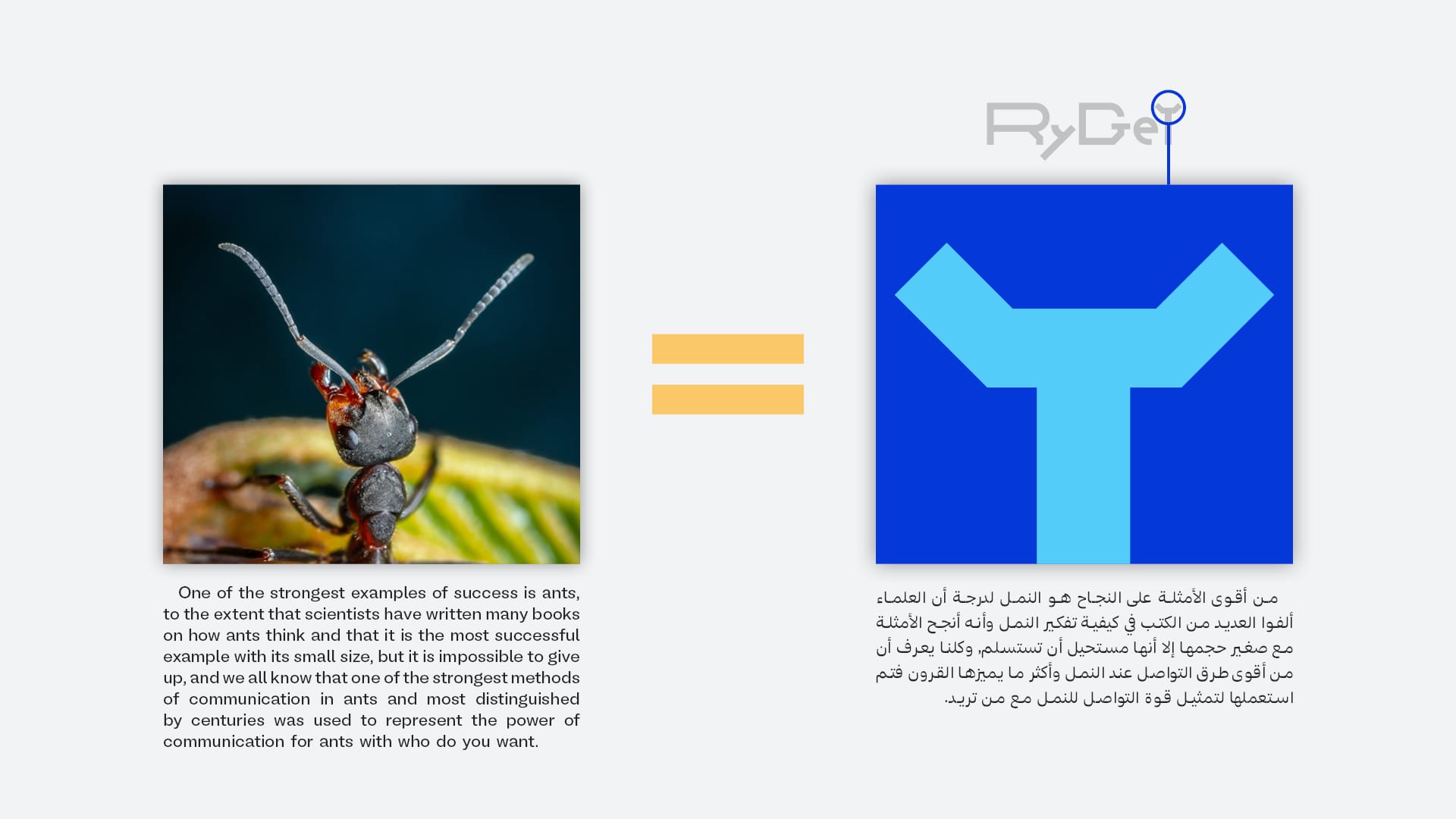 تصميم هوية بصرية كاملة لشركة تسويق إلكتروني