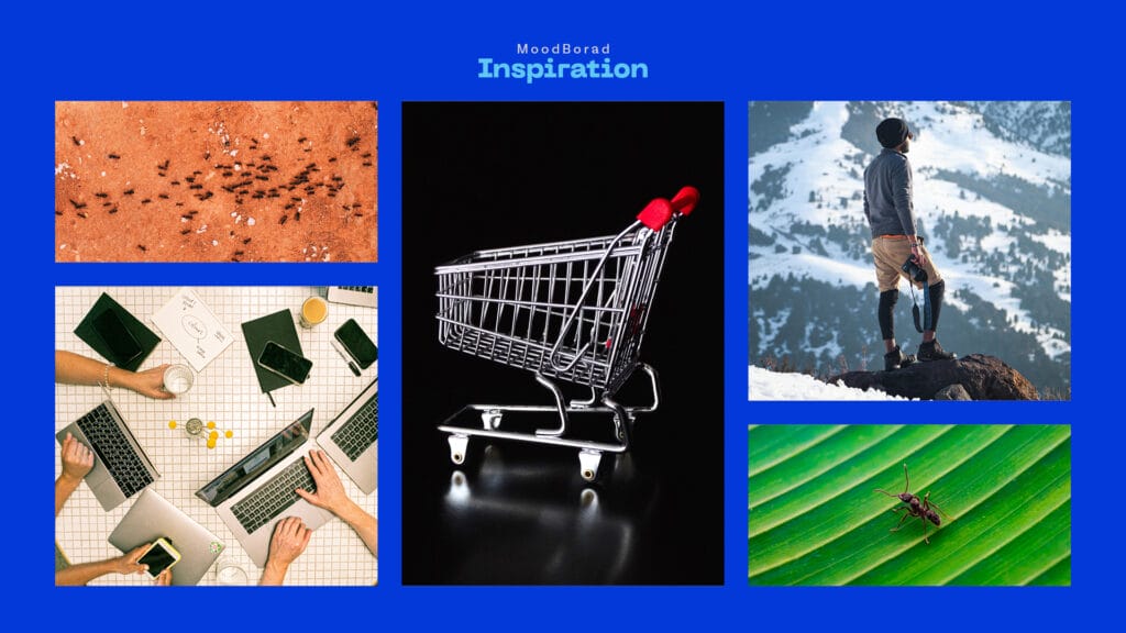 تصميم هوية بصرية كاملة لشركة تسويق إلكتروني