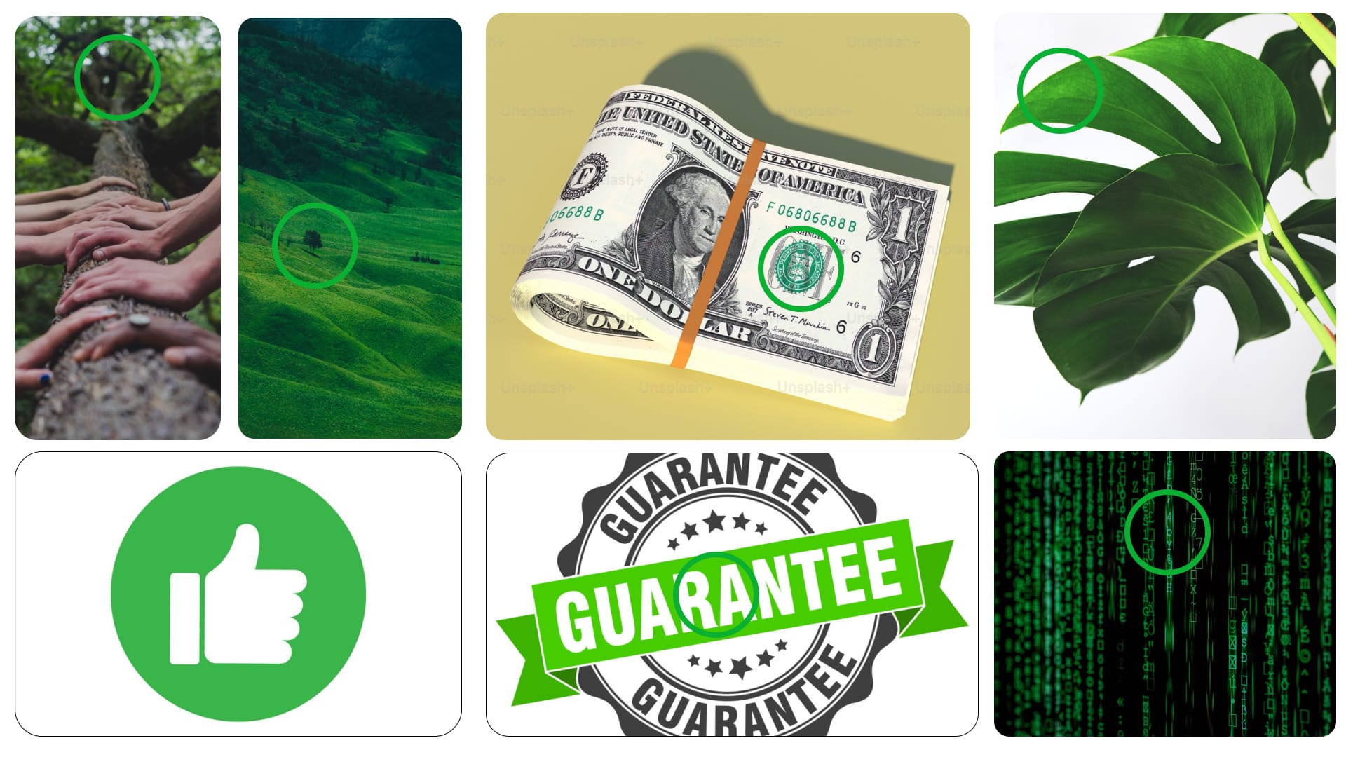 استلهام اللون الأخضر