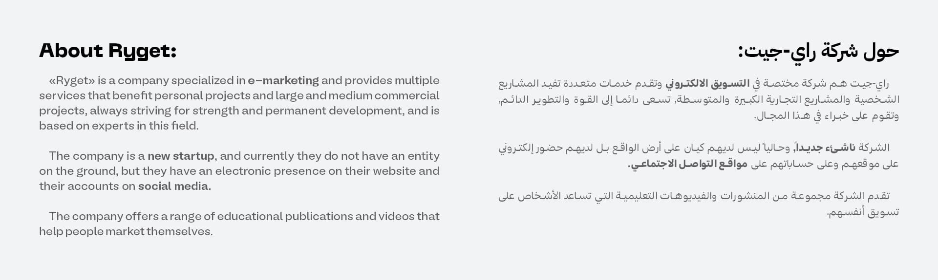 Logo & Visual Identity - Ryget (Digital Marketing)