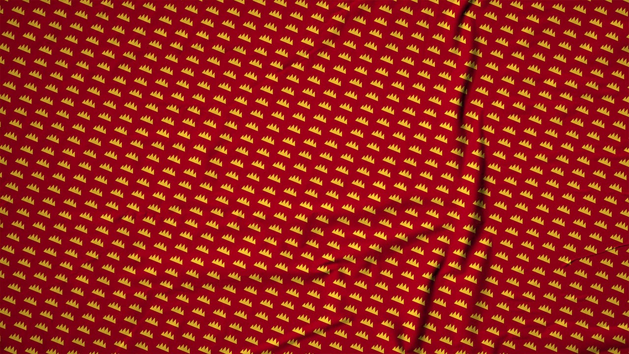 25 ReBrand Hot Pom Brand Guid 2022 New19