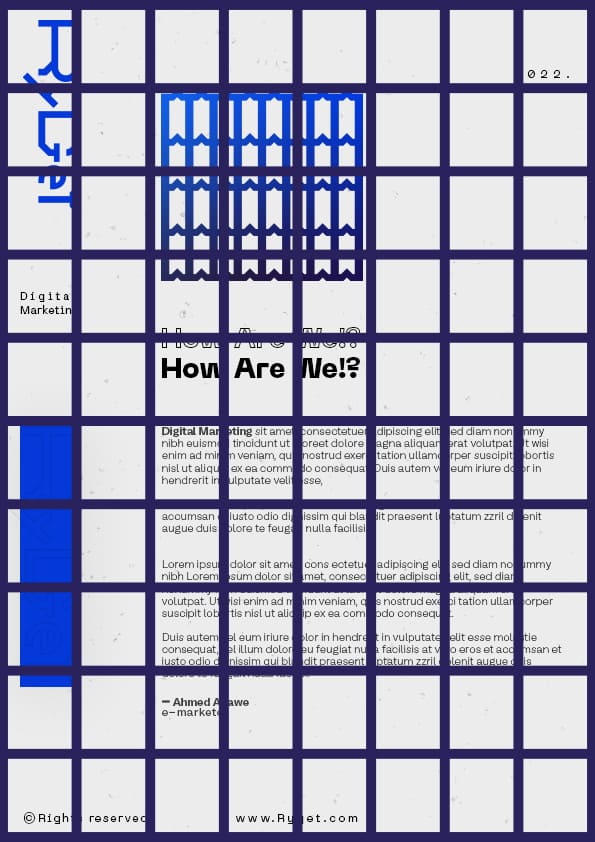 هوية بصرية راي جيت | تسويق إلكتروني 33 78 1