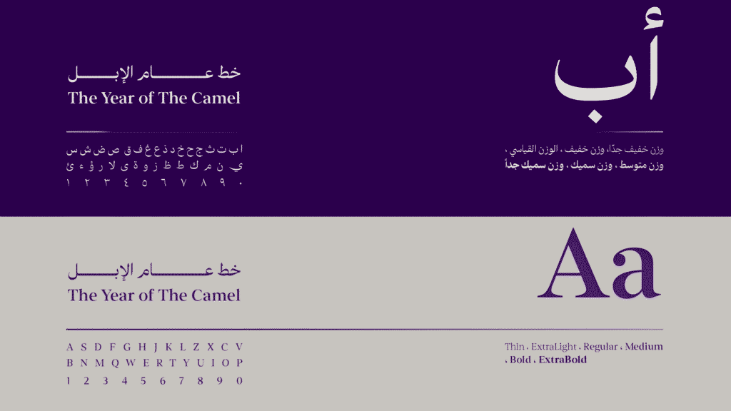 خط عام الإبل