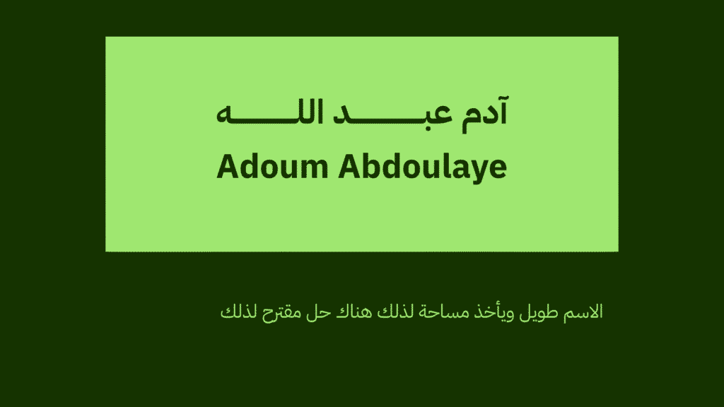 هوية بصرية شخصية 15